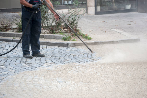 Best Animal Enclosure Cleaning  in Moulton, AL