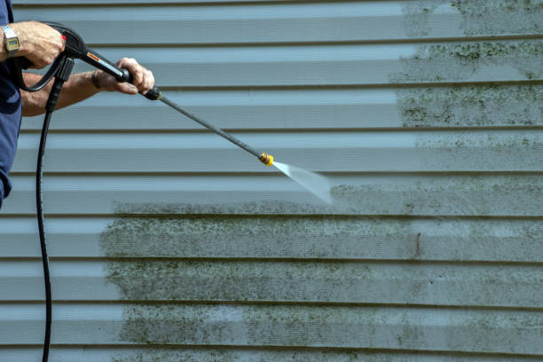 Best Driveway Pressure Washing  in Moulton, AL